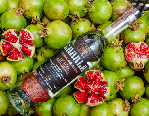 Mezcal Charla Galeria